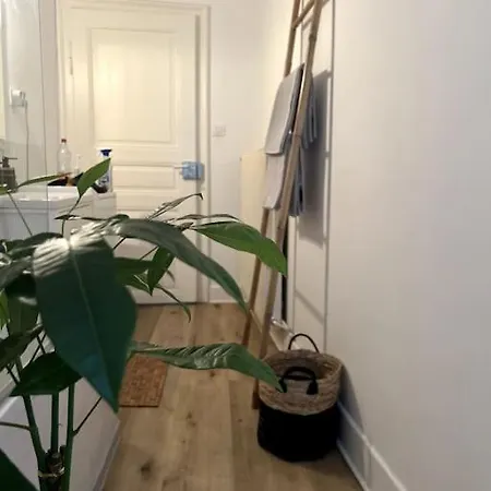 Apartamento Cosy Et Lumineux Avec Parking Gratuit