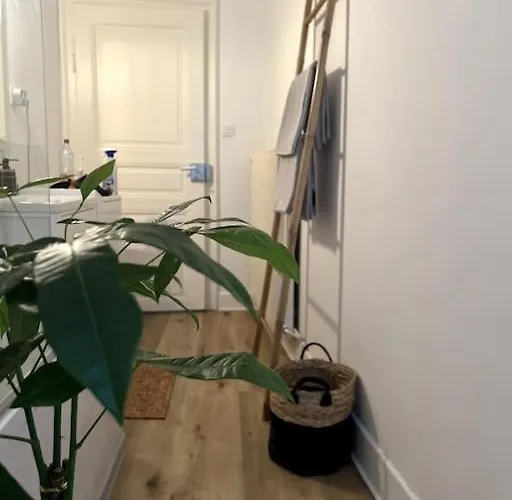 Appartement Cosy Et Lumineux Avec Parking Gratuit