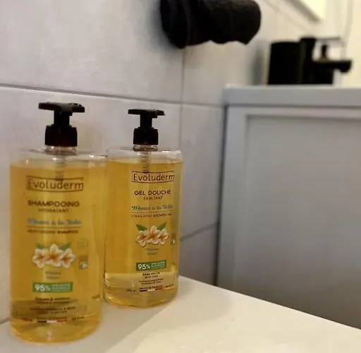 Cosy Et Lumineux Avec Parking Gratuit * Colmar